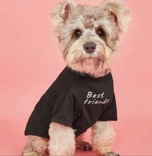 Small dog best for sale  Jensen Beach