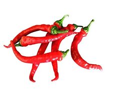 Pepperoni lombardo chili gebraucht kaufen  Kallmünz