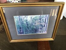 Water bog swamp for sale  Olean