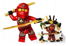 Ninjago commestibile ragazzo usato  Spedire a Italy