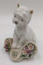 west highland terrier for sale west highland terrier for sale HUDDERSFIELD