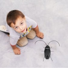 Jouet insecte solaire d'occasion  France