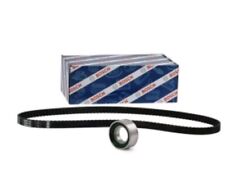 Kit cinghia distribuzione usato  Monte Porzio Catone