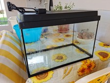 Acquario per pesci usato  Lamporecchio