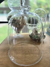 Vintage large glass for sale  Chesapeake