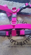Bully billows anti for sale  CAMELFORD