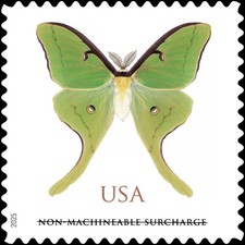 Butterfly luna moth for sale  South San Francisco