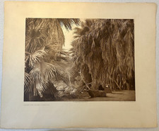 Antique edward curtis for sale  Sammamish