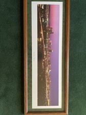 Panoramic city scape for sale  Mcalester