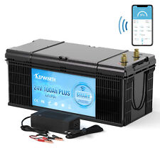 Bluetooth 24v 100ah usato  Spedire a Italy