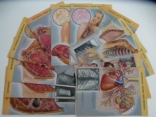 Ciba pharmaceutical folders for sale  Miami Beach