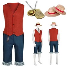 Cosplay one piece usato  Visciano