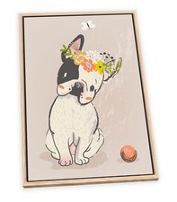 Cute french bulldog for sale  UK