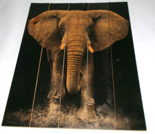 Designart wooden wall for sale  Bella Vista