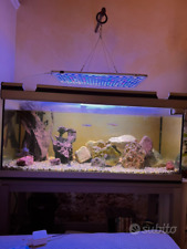 Acquario aquatlantis 200 usato  San Vito dei Normanni
