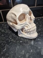 Educational model resin for sale  UPMINSTER