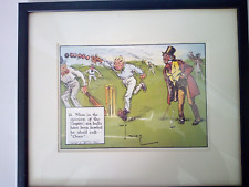 Laws cricket chas for sale  PETERBOROUGH