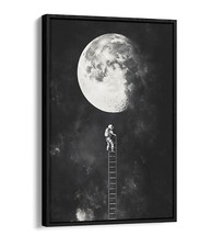 Astronaut climbing ladder for sale  LONDONDERRY