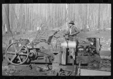 1941 asino punzone usato  Spedire a Italy