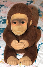 Hosung brown baby for sale  Neenah