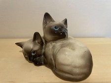 Beswick siamese kittens for sale  ABERDEEN