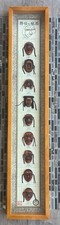 Korean traditional masks for sale  Henderson