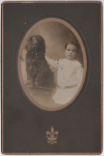 Circa 1900s mounted for sale  Andover