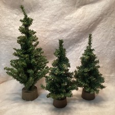 Mini pine christmas for sale  Saylorsburg