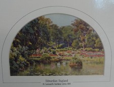 Original matted antique for sale  LYNTON