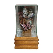 Vintage butterfly shadowbox for sale  Provo