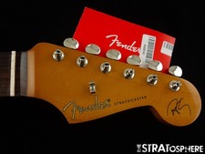 Fender robert cray for sale  Exeter