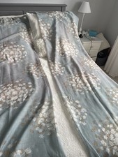 Sheer duck egg for sale  PERTH