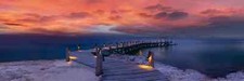 Peter lik enchanted for sale  Fort Lauderdale