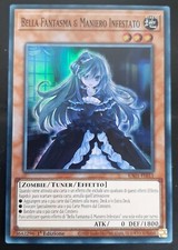 Bella fantasma maniero usato  Venezia