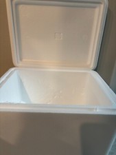 Styrofoam cooler local for sale  Riverview