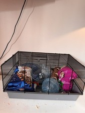 Hamster cage accessories for sale  CARDIFF