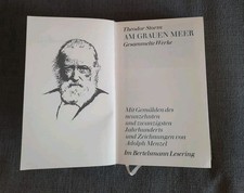 Theodor storm grauen gebraucht kaufen  Münster