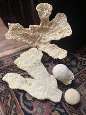 Vintage elkhorn coral for sale  Gainesville