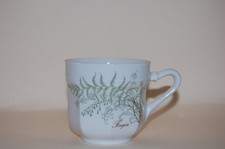 Kaffeetasse 2cm leonardo gebraucht kaufen Kaffeetasse 2cm leonardo gebraucht kaufen  Lichtenfels