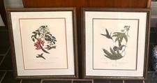 John ruthven artist for sale  Charlottesville