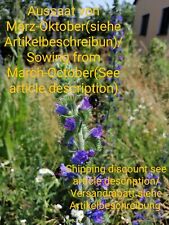 Gewöhnlicher natternkopf echi gebraucht kaufen  Langenfeld (Rheinland)