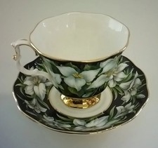 royal albert porzellan gebraucht kaufen royal albert porzellan gebraucht kaufen Radolfzell am Bodensee
