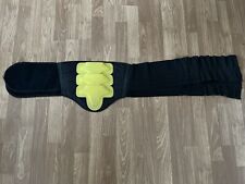 Paraschiena dainese vintage usato  Chiavari