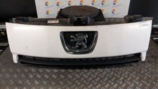Griglia 1608230580 peugeot usato  Cinisello Balsamo