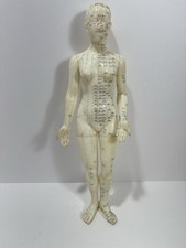 Body acupuncture model for sale  Union City
