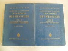 Lehrbuch atlas anatomie gebraucht kaufen  Troisdorf