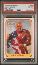 1991 merlin wwf usato  Trentola Ducenta