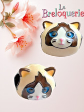 Charm tete chat d'occasion  Viarmes