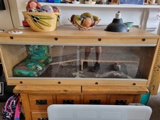 Vivarium terrarium vivexotic for sale  SOUTHAMPTON