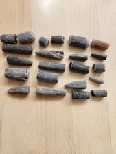 Yorkshire fossils belemnite for sale  HULL